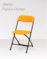 https://s3.vistaartrade.anukul.com.np/vistaartrade/media/products/2022/01/12/amity-papaya-orange.webp