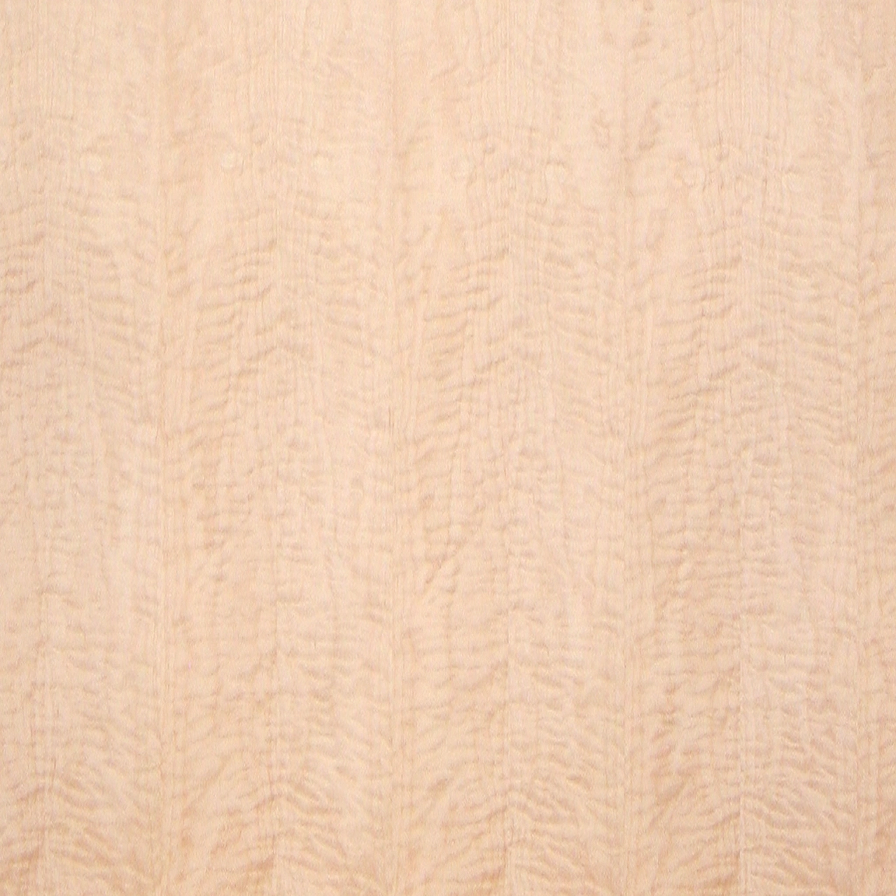 https://s3.vistaartrade.anukul.com.np/vistaartrade/media/products/2022/04/26/maple-heavy-curly_2__30759_MmXrjl0.webp