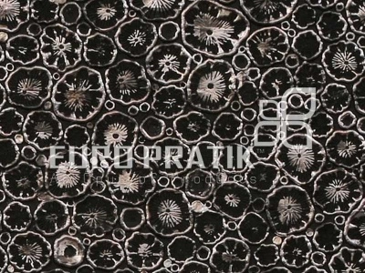 Preview image 1