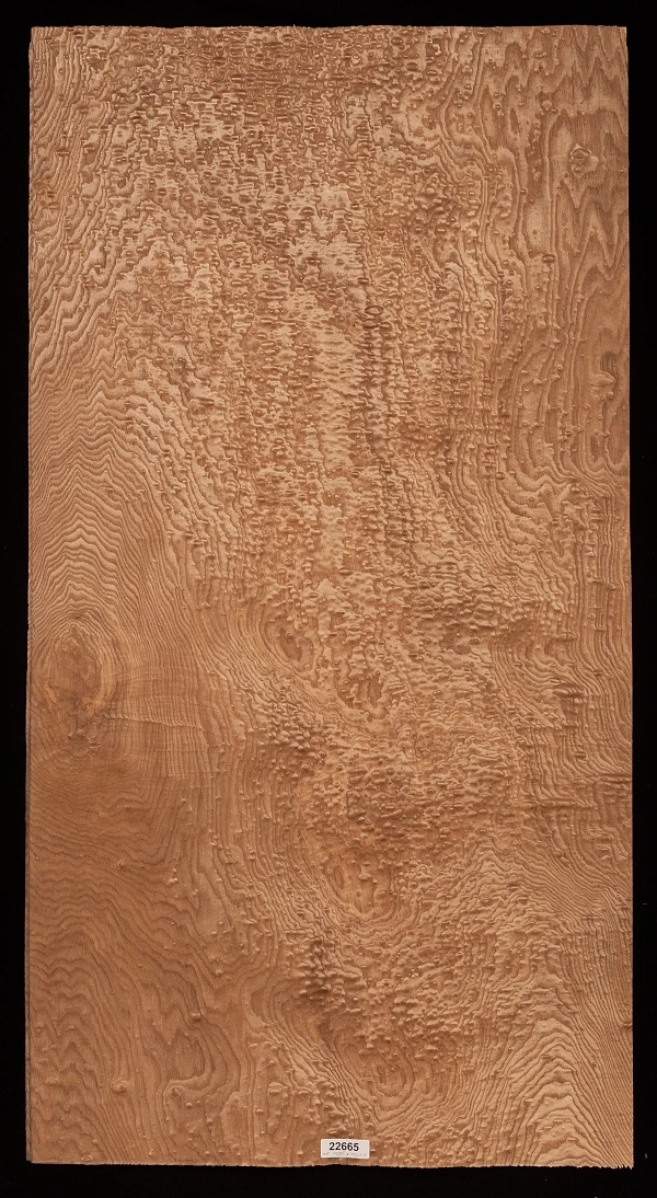 Preview image 1