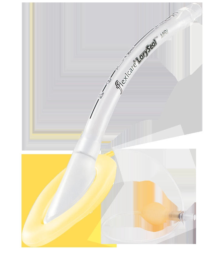 https://s3.vistaartrade.anukul.com.np/vistaartrade/media/products/2022/08/28/LarySeal_MRI.webp