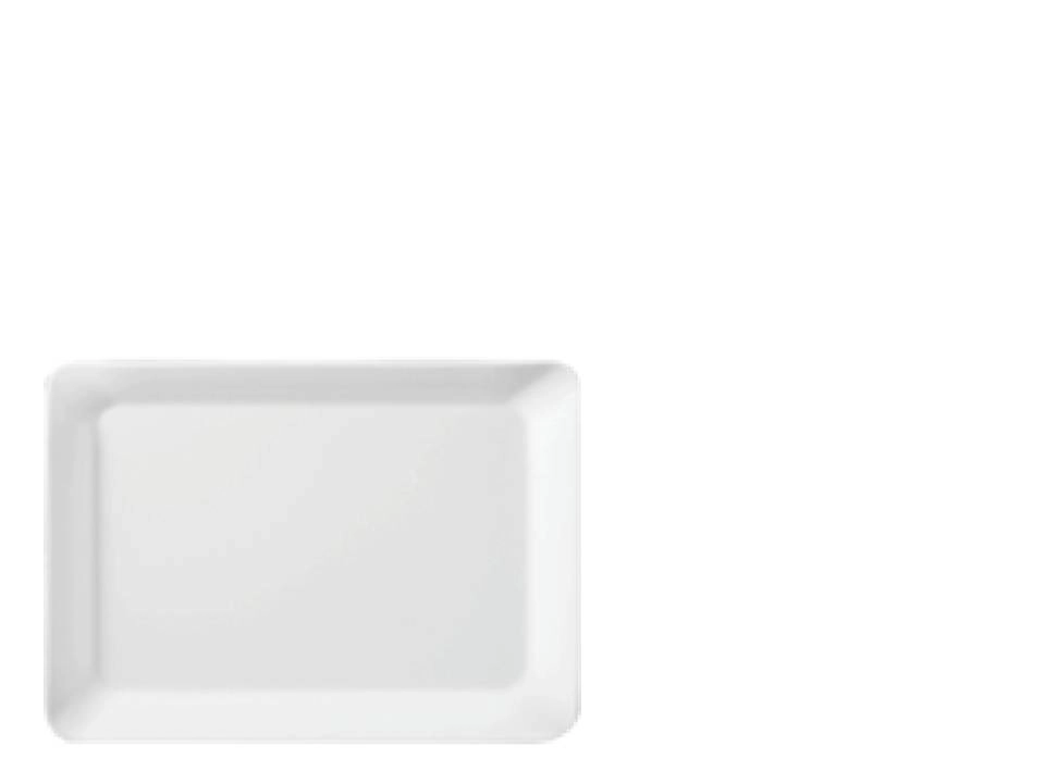 https://s3.vistaartrade.anukul.com.np/vistaartrade/media/products/2023/06/05/DINEWELL_STYLIN_SMALL_TRAY_ASSORTED.webp