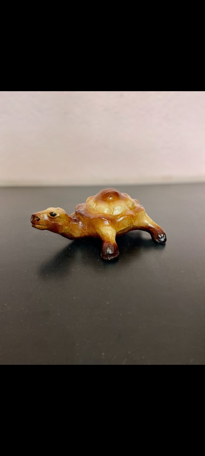 https://s3.vistaartrade.anukul.com.np/vistaartrade/media/products/2023/07/16/turtle.jpg