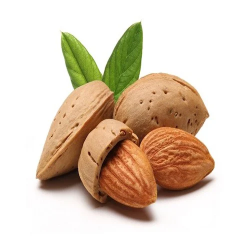 https://s3.vistaartrade.anukul.com.np/vistaartrade/media/products/2024/02/01/capitalising-on-the-functional-power-of-almonds-500x500.webp