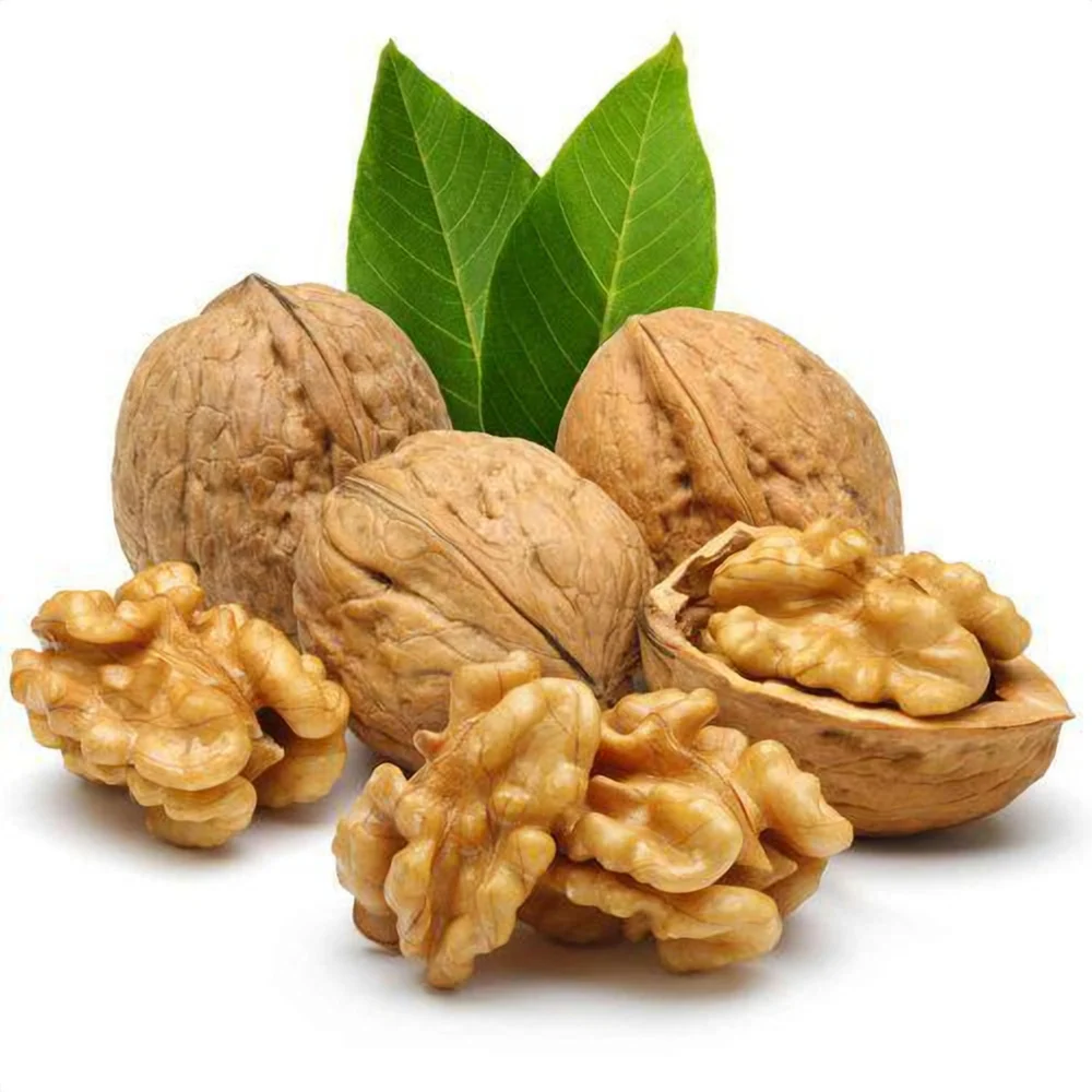 https://s3.vistaartrade.anukul.com.np/vistaartrade/media/products/2024/05/14/image_isipCAo.png