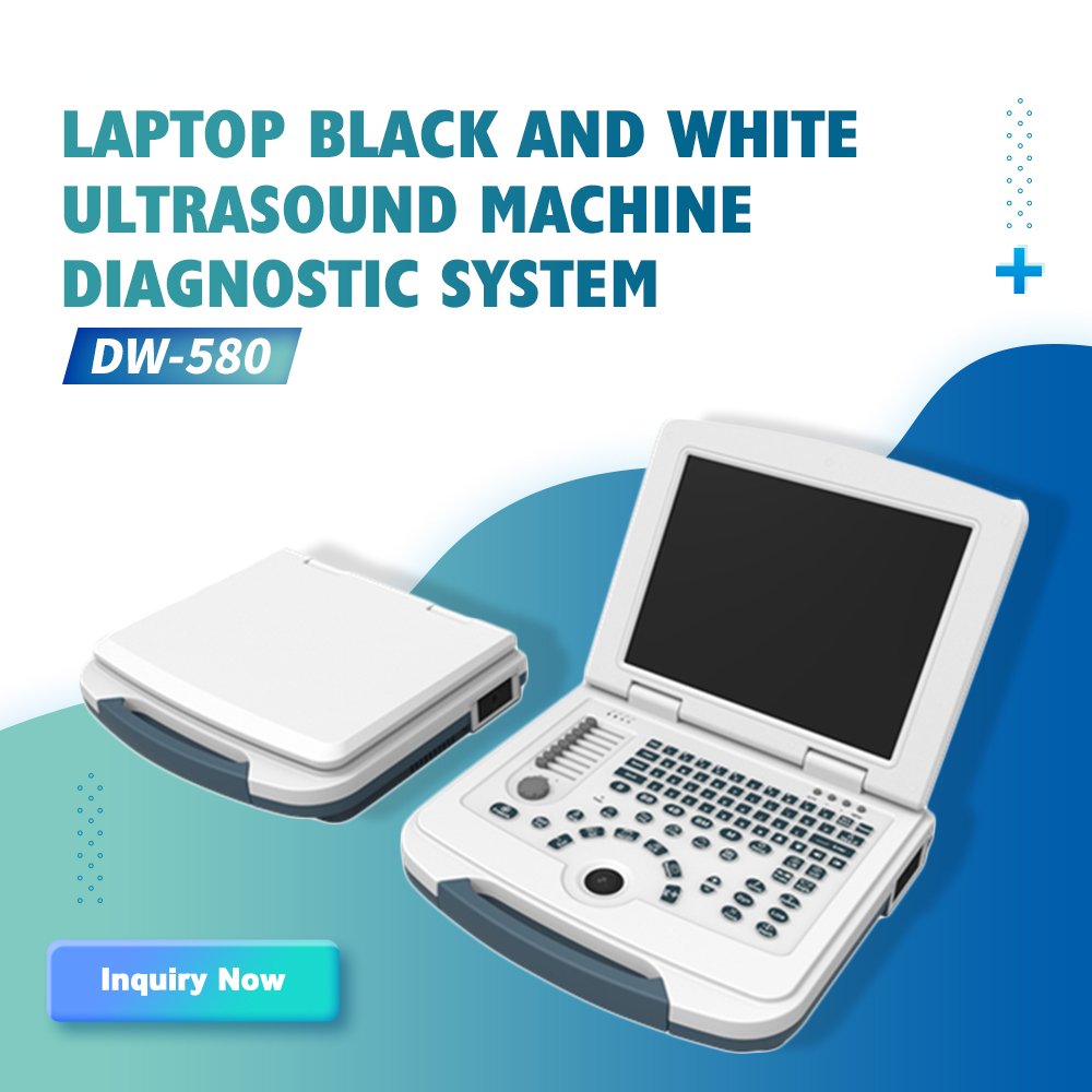 https://s3.vistaartrade.anukul.com.np/vistaartrade/media/products/2024/05/17/287562228_559347312374479_7184890810151602058_n.jpg